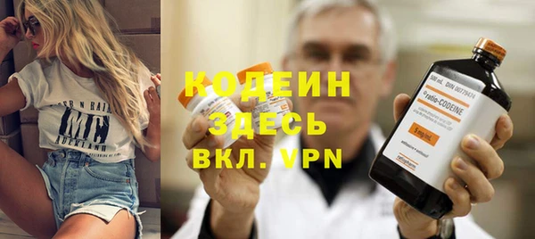 хмурый Верея
