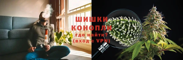 индика Володарск