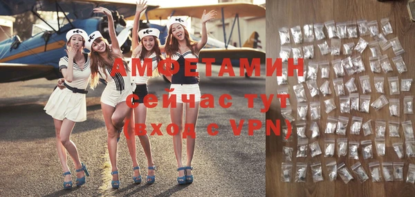 хмурый Верея