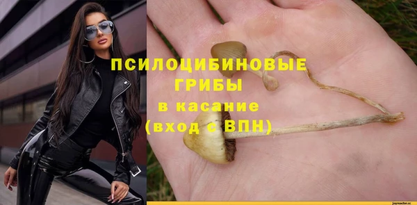 прущая мука Верхний Тагил