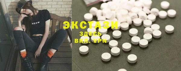 хмурый Верея
