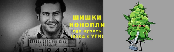 хмурый Верея