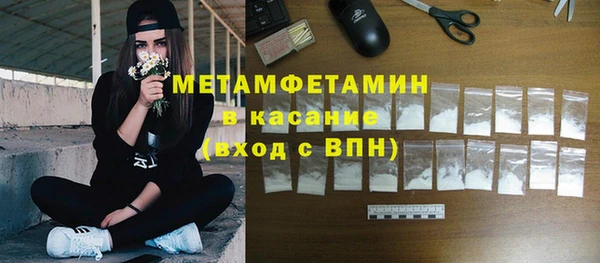 хмурый Верея