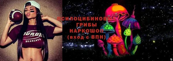 хмурый Верея