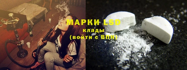 хмурый Верея