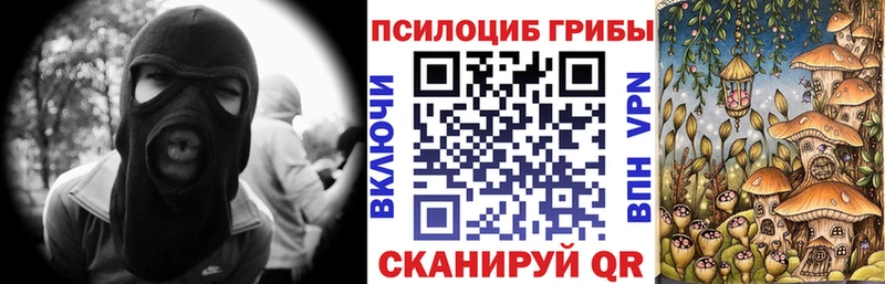 Купить где  Мариинск  Галлюциногенные грибы мухоморы 